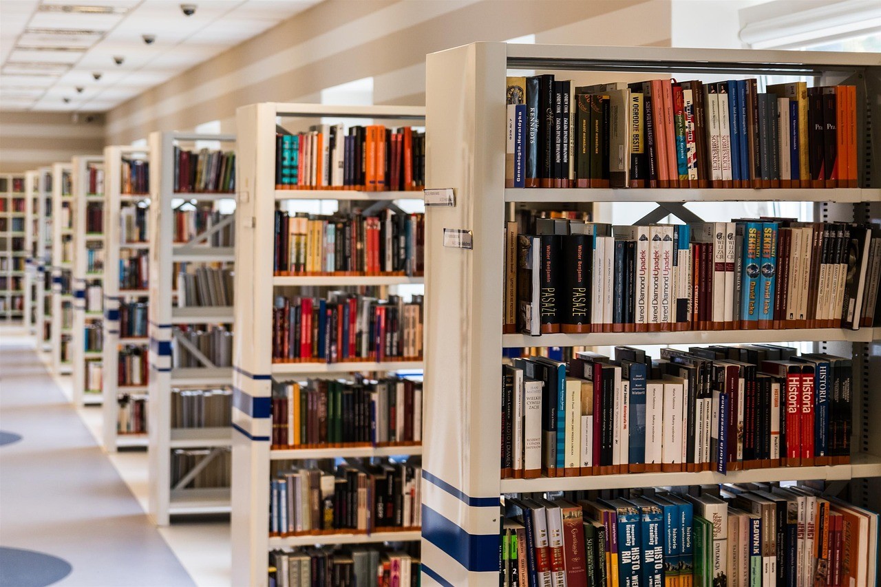 Rayonnages d'une bibliothèque organisés par allées, illustrant un contenu rangé et facile à parcourir