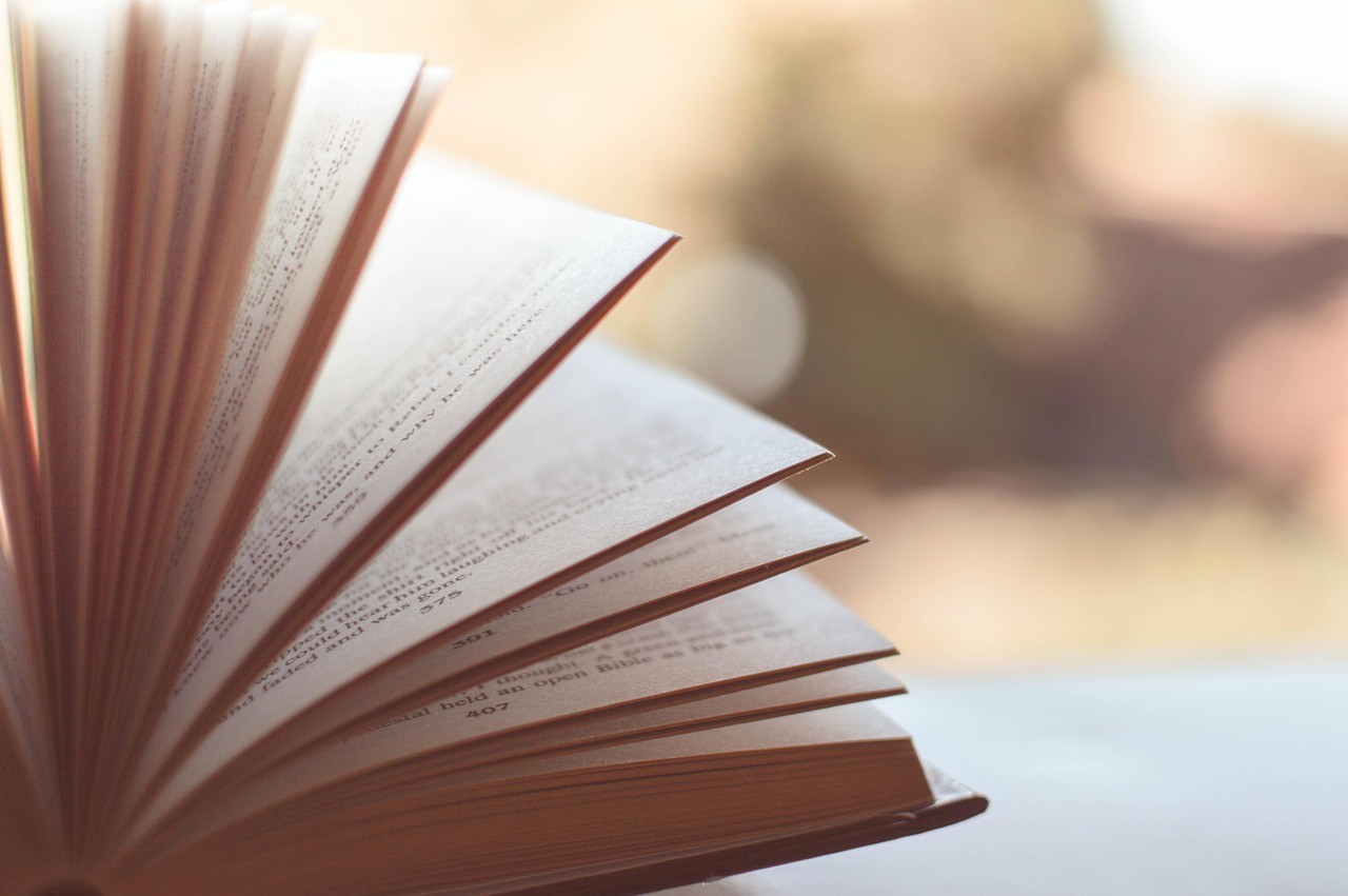 Livre ouvert aux pages et chapitres visibles, image de la hiérarchie d'un contenu structuré